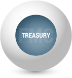FMC.Treasury